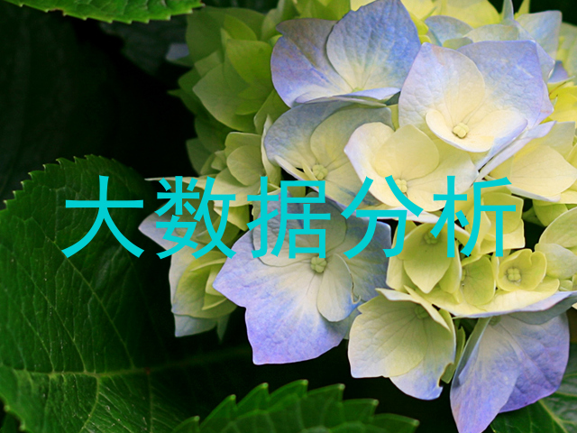 大数据分析