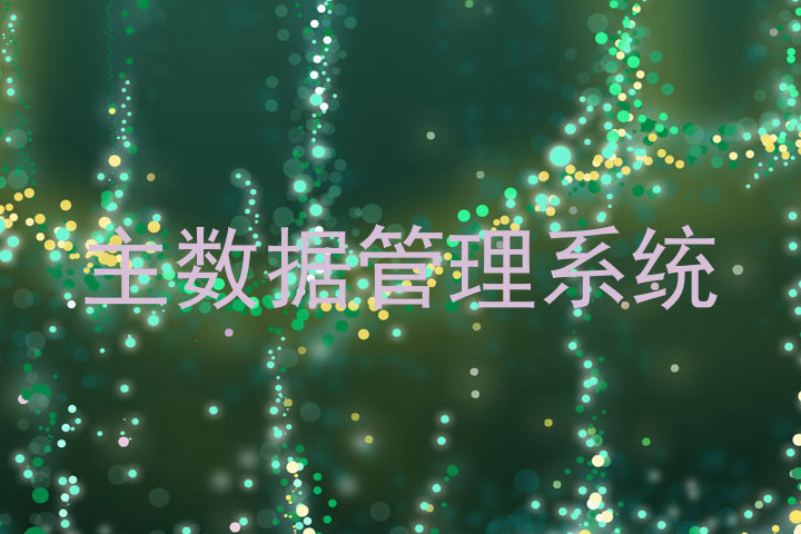 主数据管理系统