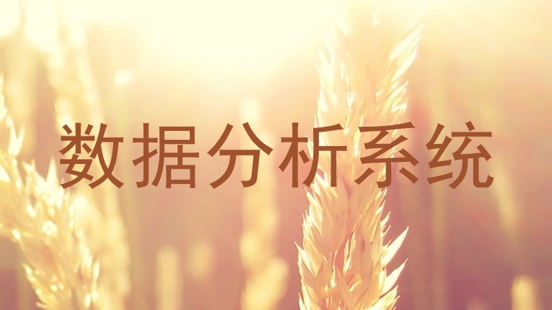 数据分析系统