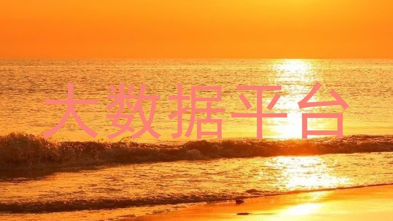 大数据平台