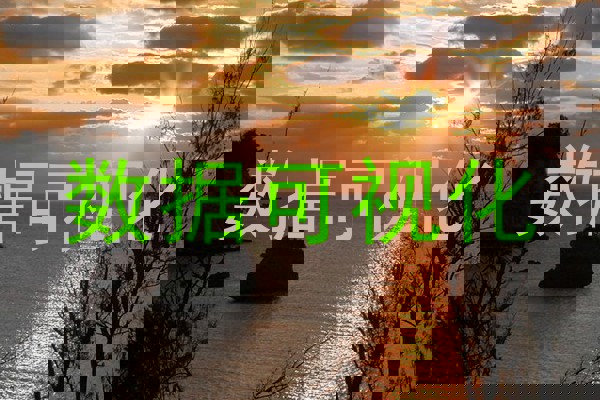 数据可视化