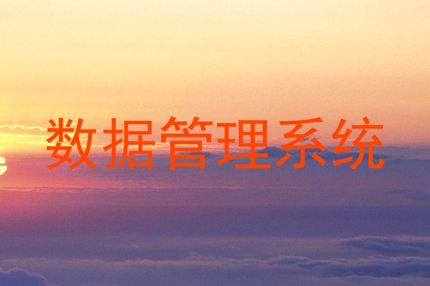 数据管理系统