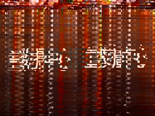 主数据中心