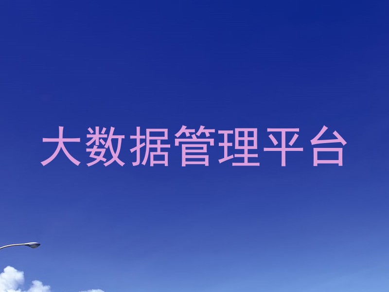 大数据管理平台
