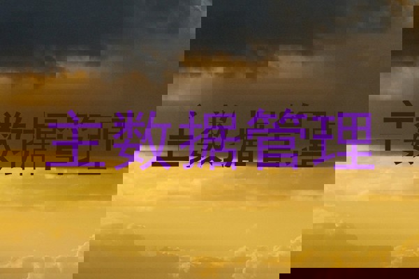 主数据管理