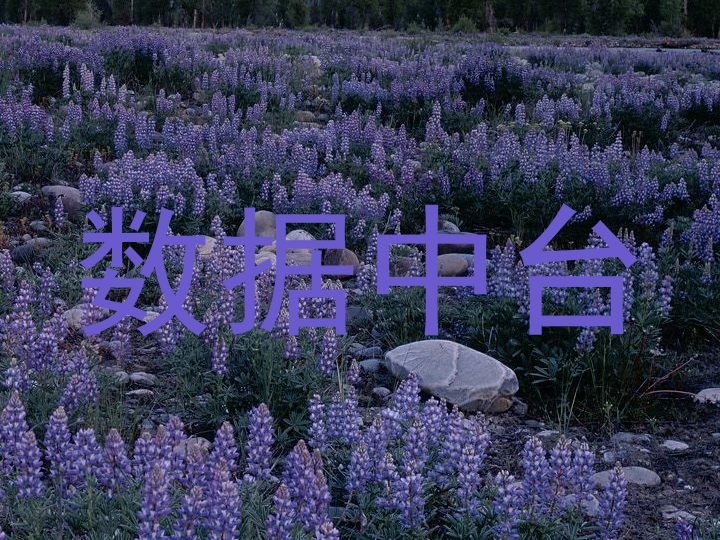 数据中台