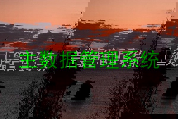 主数据管理系统
