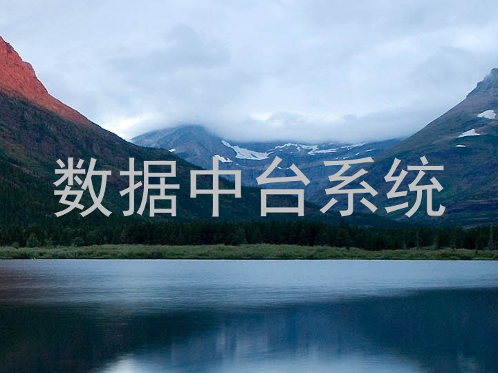 数据中台系统