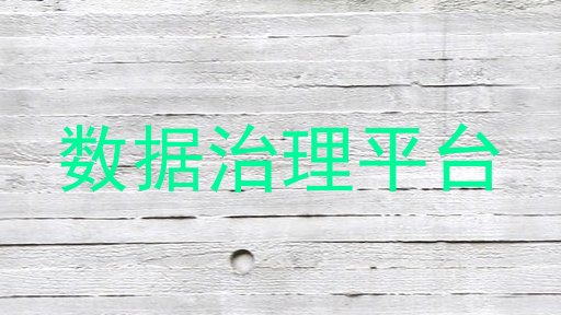 数据治理平台
