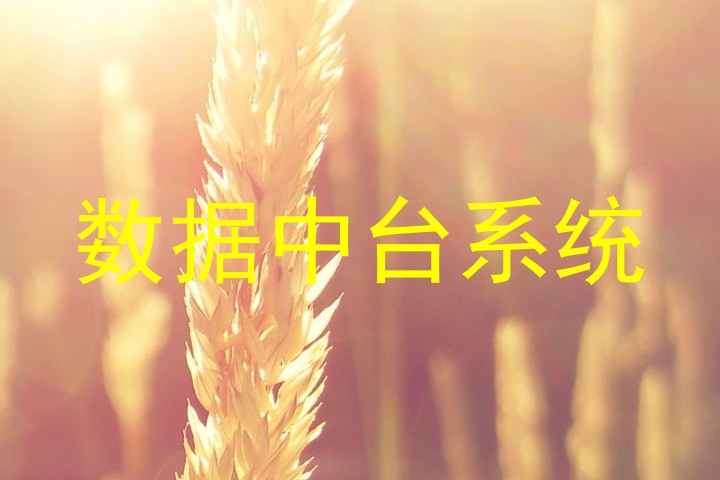 数据中台系统