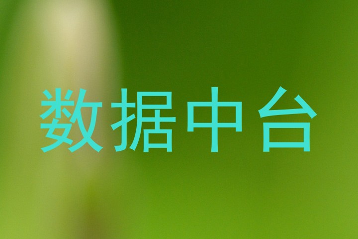 数据中台