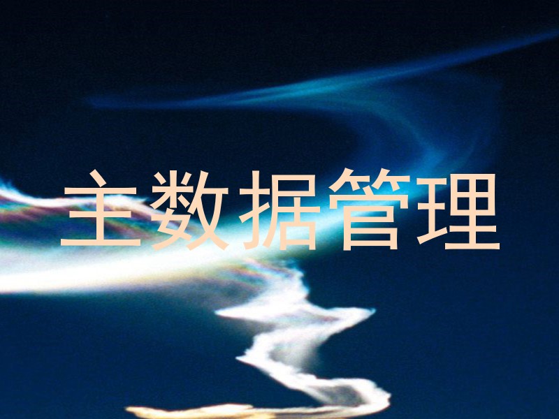 主数据管理