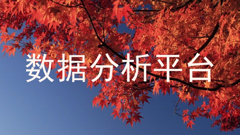 数据分析平台