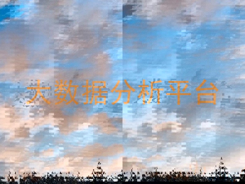大数据分析平台