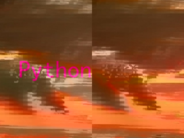 Python