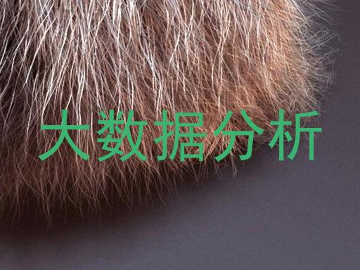大数据分析