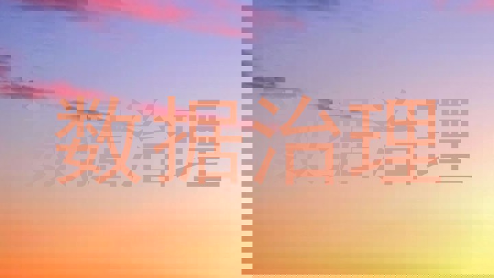 数据治理
