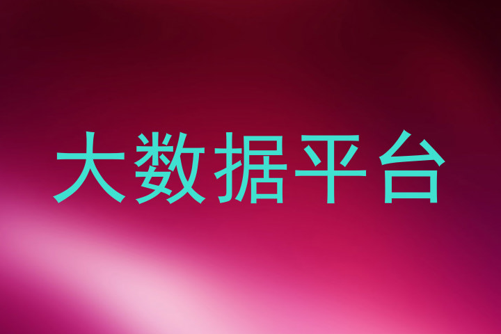大数据平台