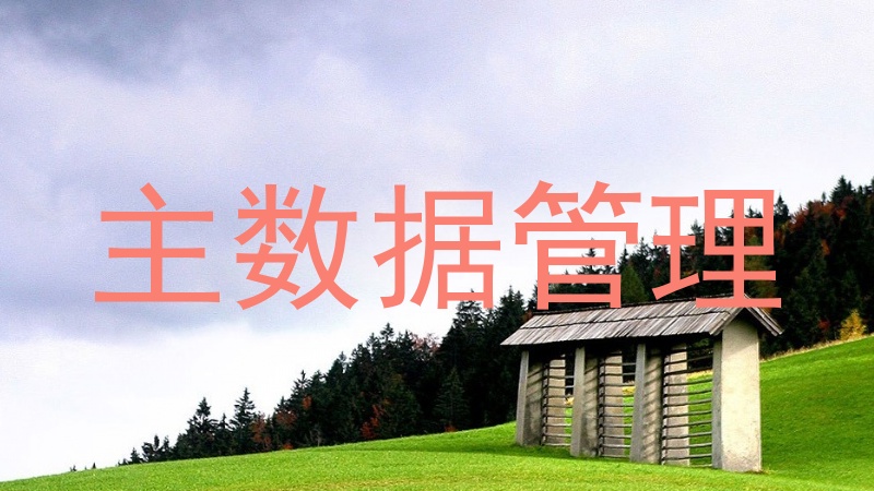 主数据管理