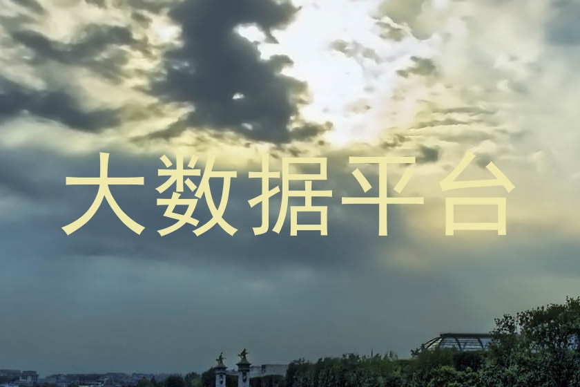 大数据平台