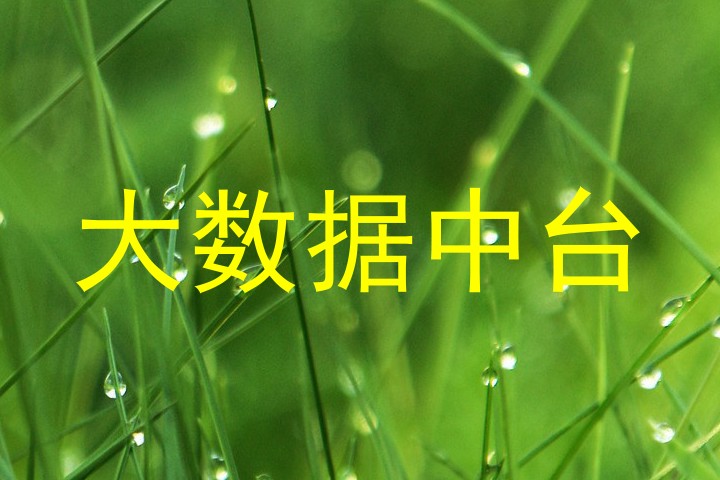 大数据中台