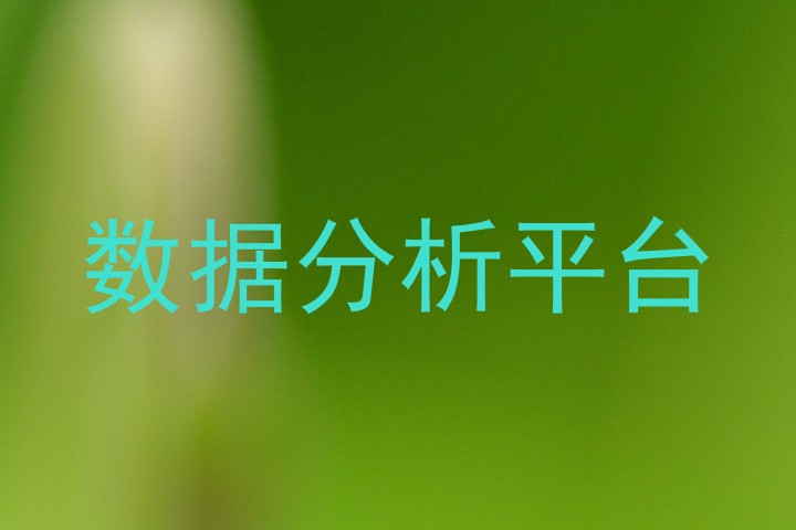 数据分析平台