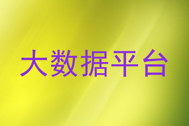 大数据平台