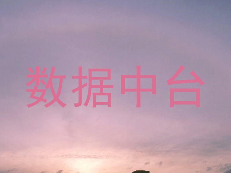 数据中台