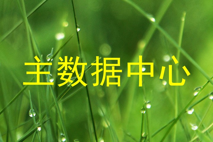 主数据中心
