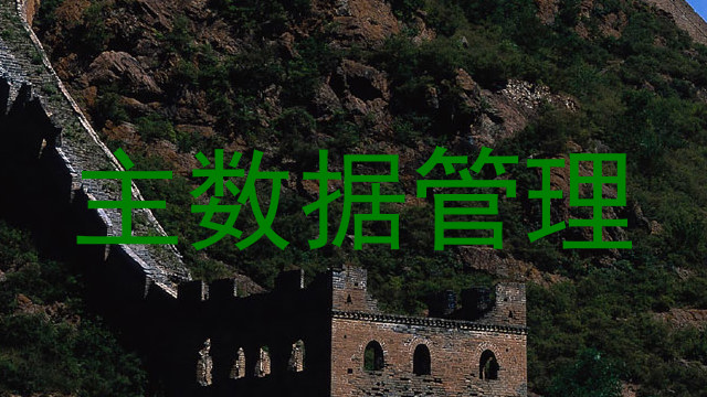 主数据管理