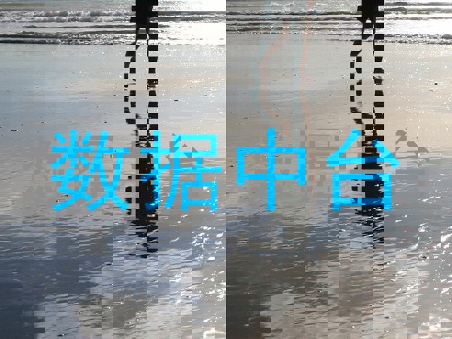数据中台