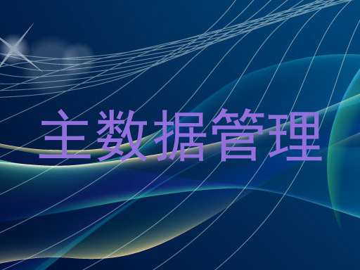 主数据管理