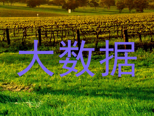 大数据