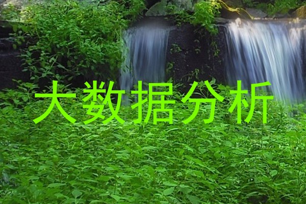 大数据分析