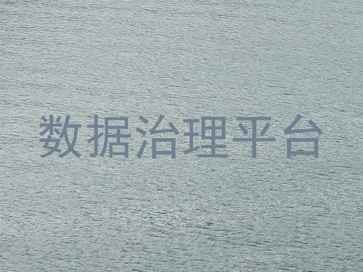数据治理平台