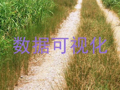 数据可视化