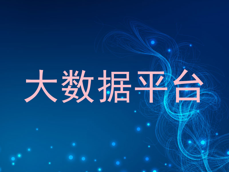 大数据平台