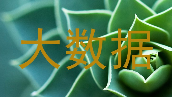 大数据