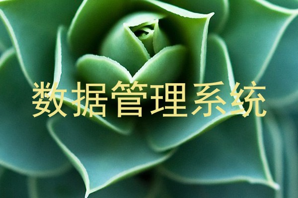 数据管理系统