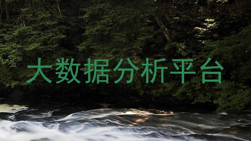 大数据分析平台
