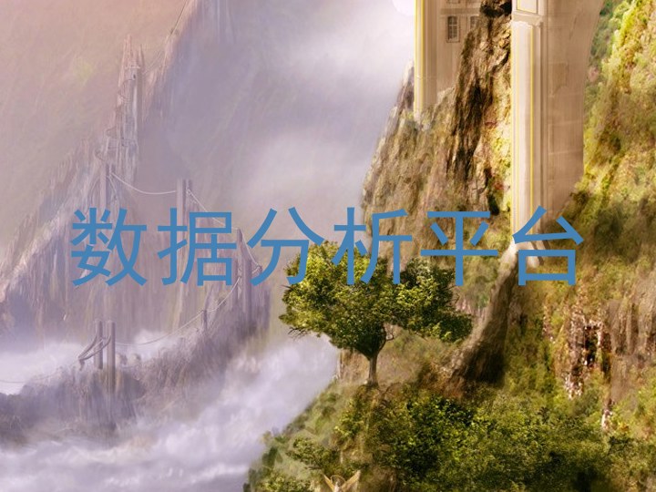 数据分析平台