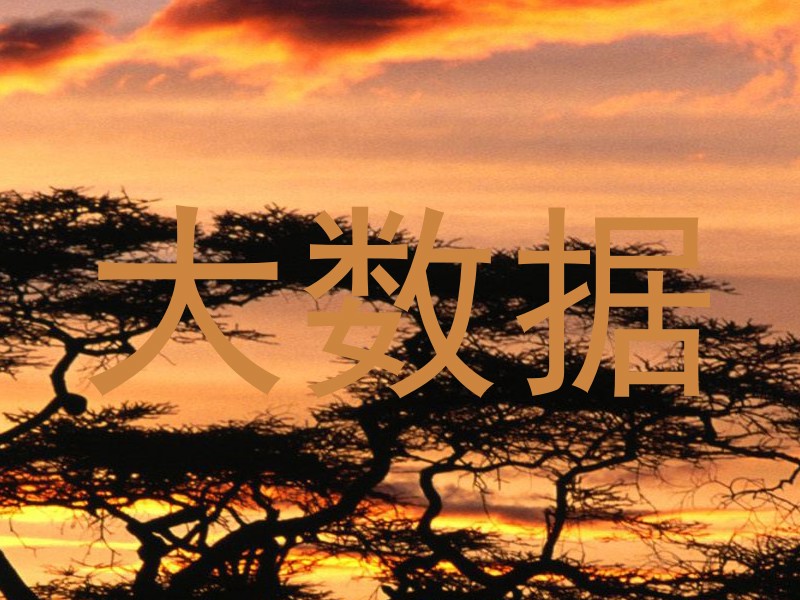 大数据
