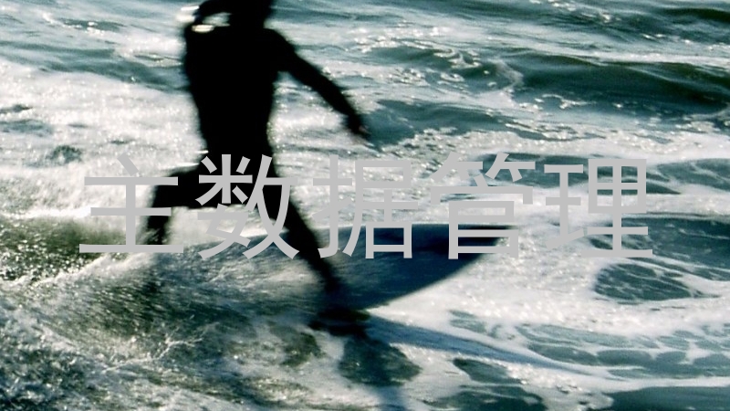 主数据管理