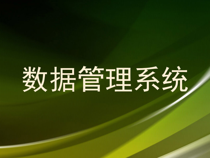 数据管理系统