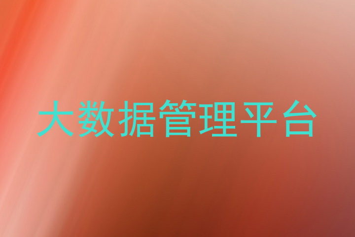 大数据管理平台