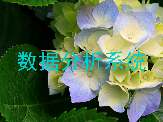 数据分析系统