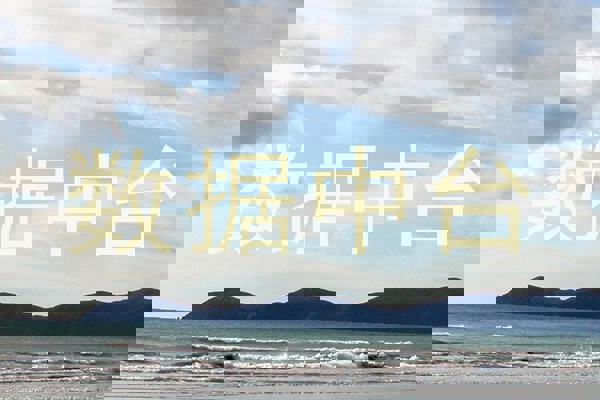 数据中台