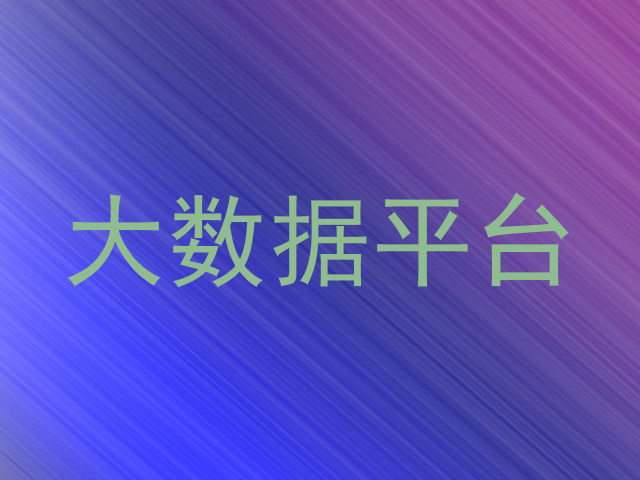 大数据平台