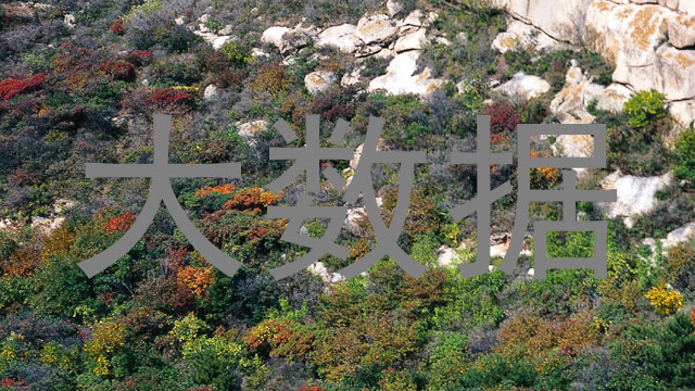 大数据