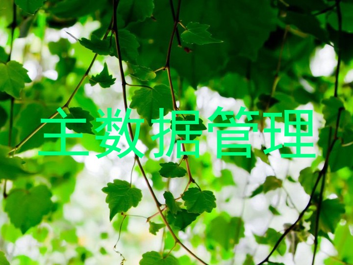 主数据管理
